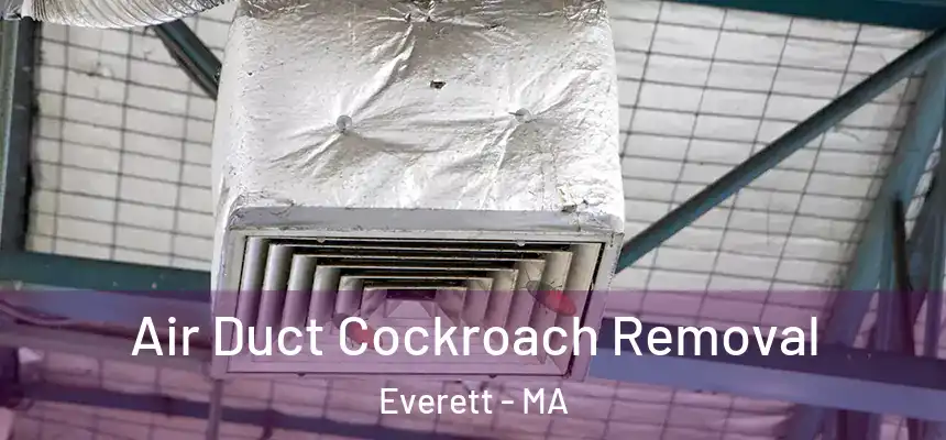  Air Duct Cockroach Removal Everett - MA