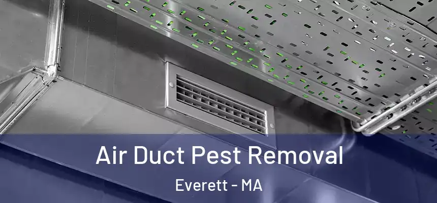  Air Duct Pest Removal Everett - MA