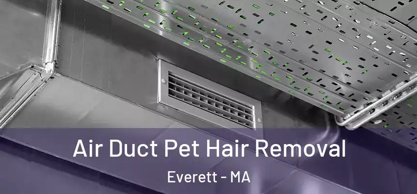  Air Duct Pet Hair Removal Everett - MA
