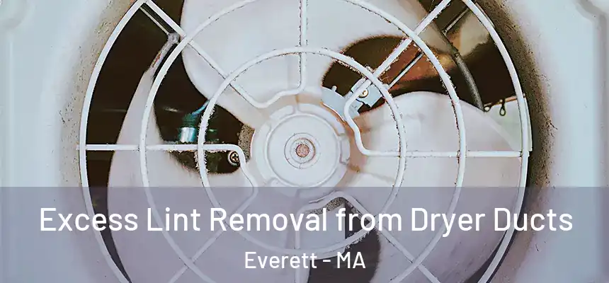  Excess Lint Removal from Dryer Ducts Everett - MA