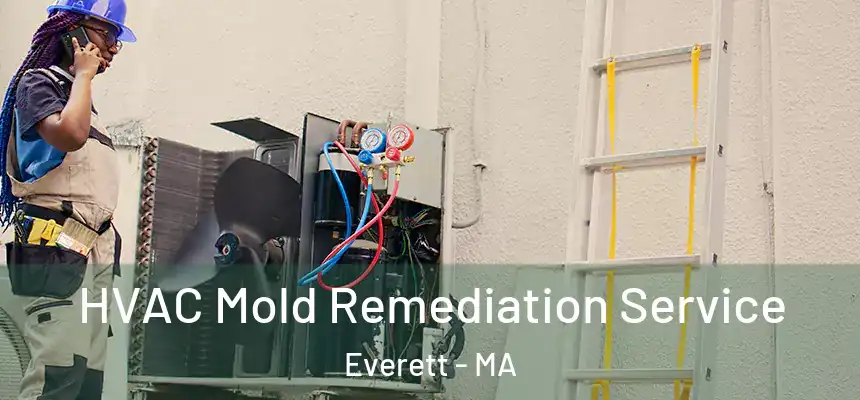  HVAC Mold Remediation Service Everett - MA