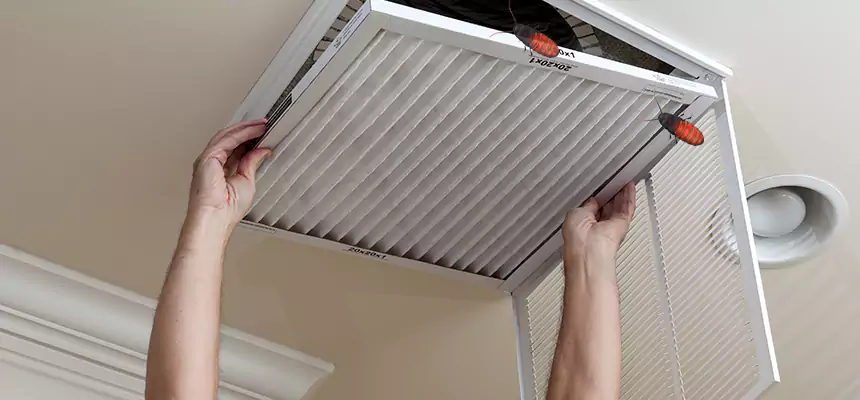 Preventive Cockroach-Proofing for Ducts in Everett
