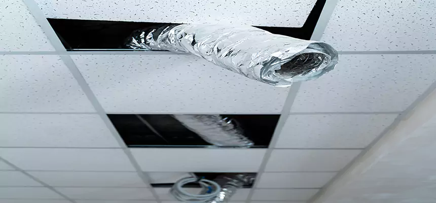 Affordable HVAC Sanitizing After Pest Removal in Everett