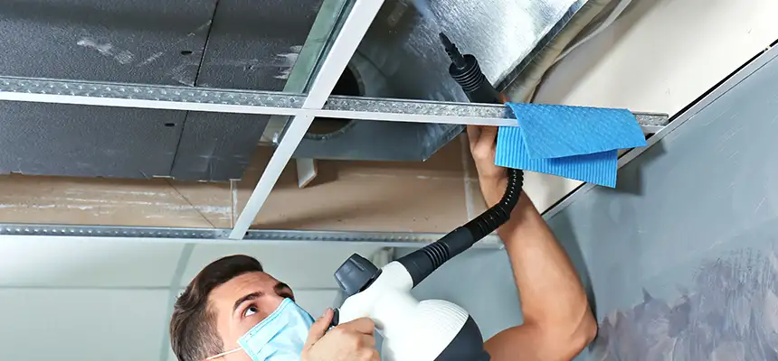 Our Air Duct Rodent Removal Services in Everett, MA