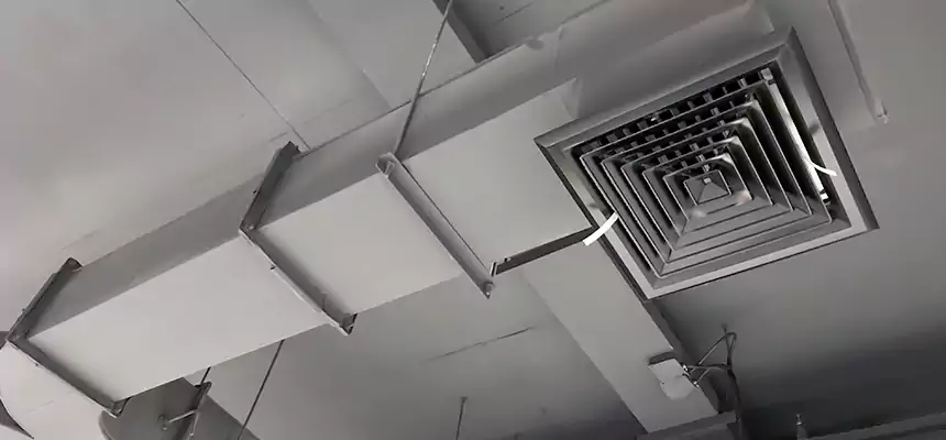 Restorative Allergy Relief Vent Cleaning – Coil, Blower & Housing Detail in Everett