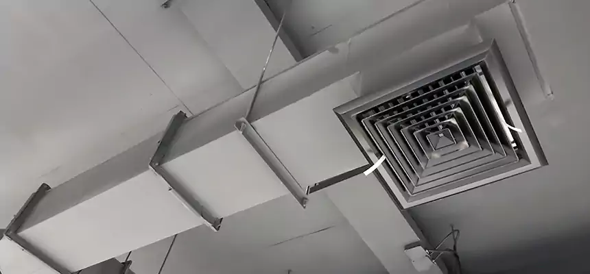 Our Rodent Droppings In Vents Services in Everett, MA