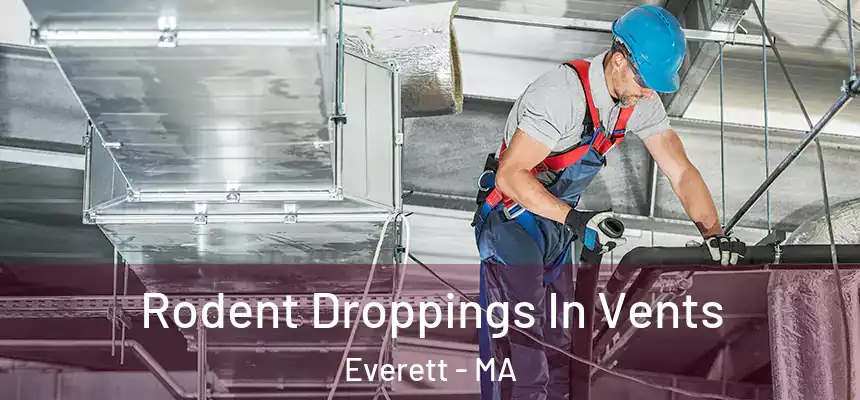  Rodent Droppings In Vents Everett - MA