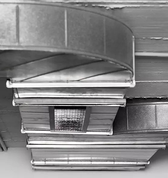 Professional Air Duct Pest Removal in Everett, MA