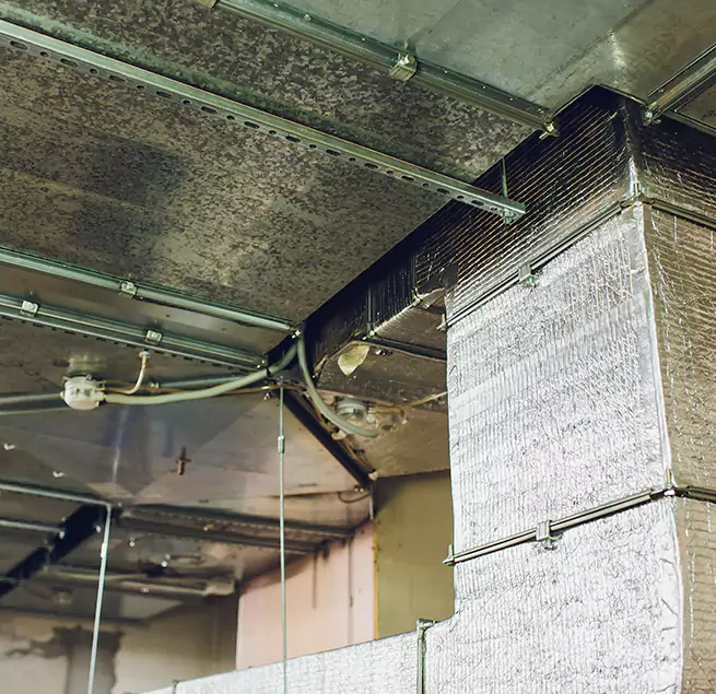 Why Homeowners & Businesses Trust Us in Everett, MA?