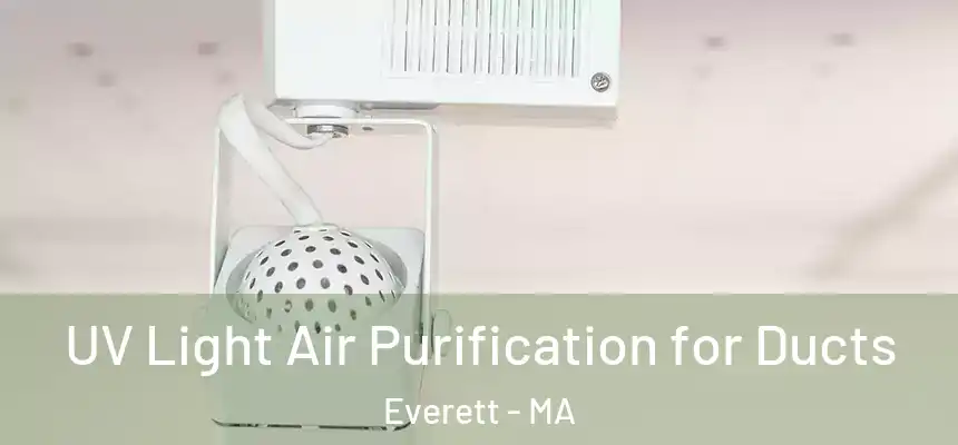  UV Light Air Purification for Ducts Everett - MA